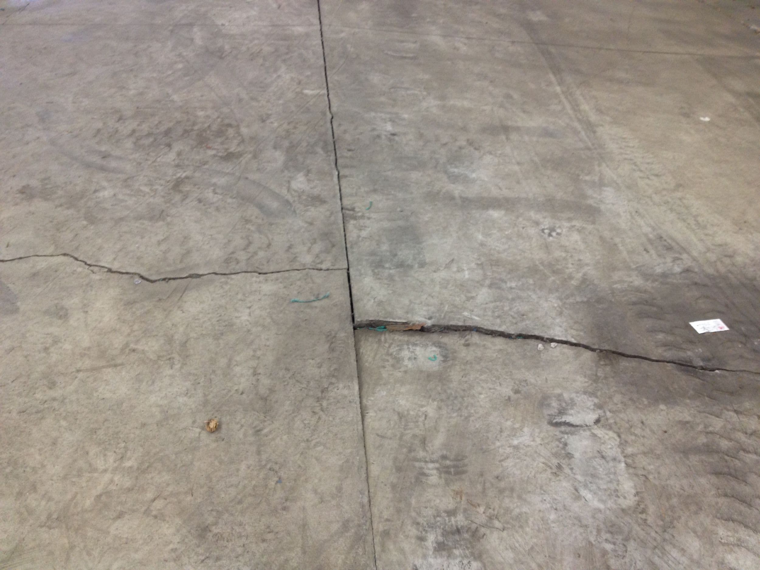 Trawlworks Inc. - Photo 6